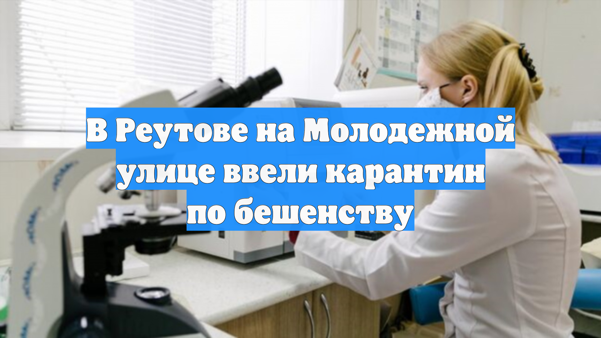 В Реутове на Молодежной улице ввели карантин по бешенству смотреть онлайн