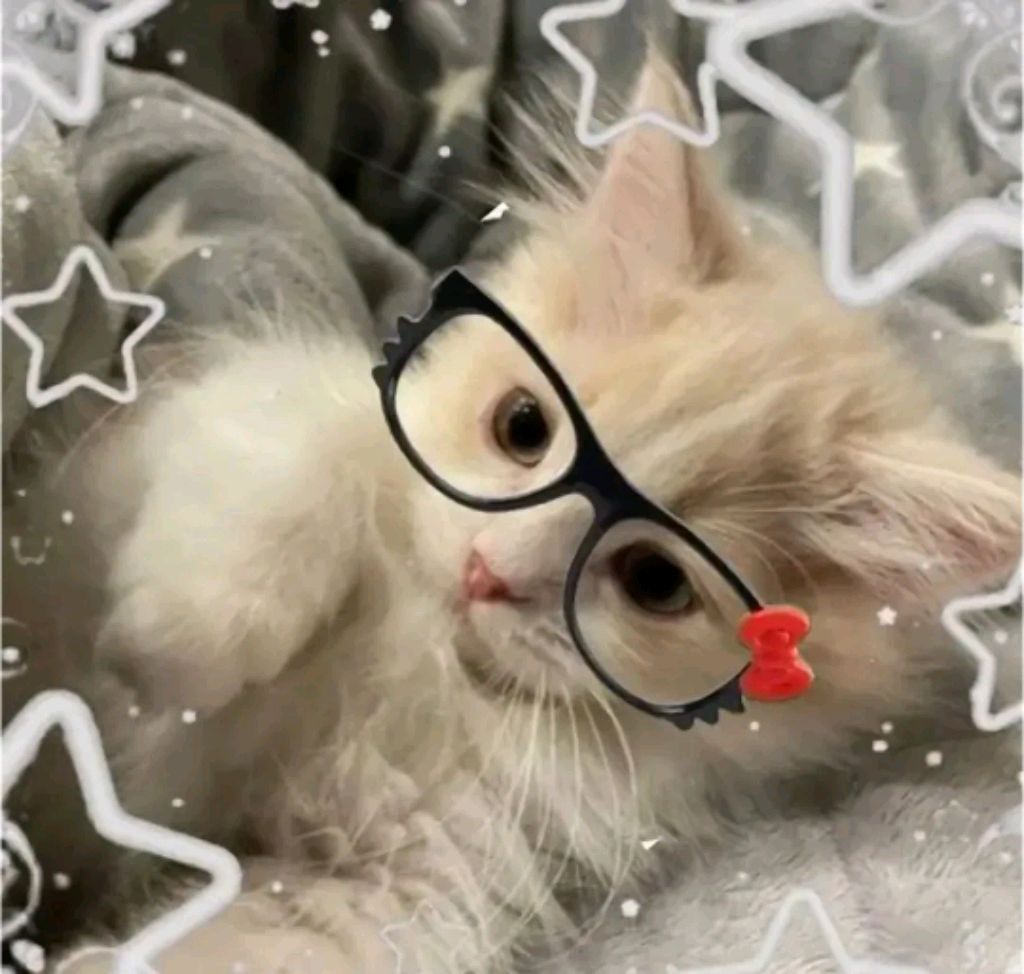 поля мышка смотреть онлайн