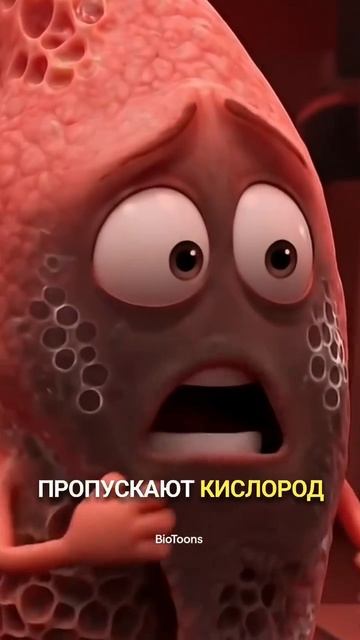 Ты разрушаешь себя без тренировок❌️