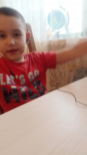 Миша играет Майнкрафт