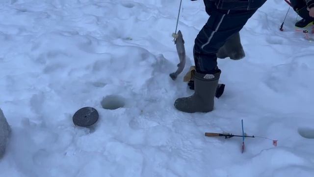 08.02.26 г. РК Волна. смотреть онлайн