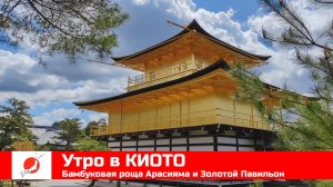 ЯПОНИЯ из окна поезда эп09: КИОТО - бамбуковая роща Арасияма и Золотой павильон Кинкаку-дзи