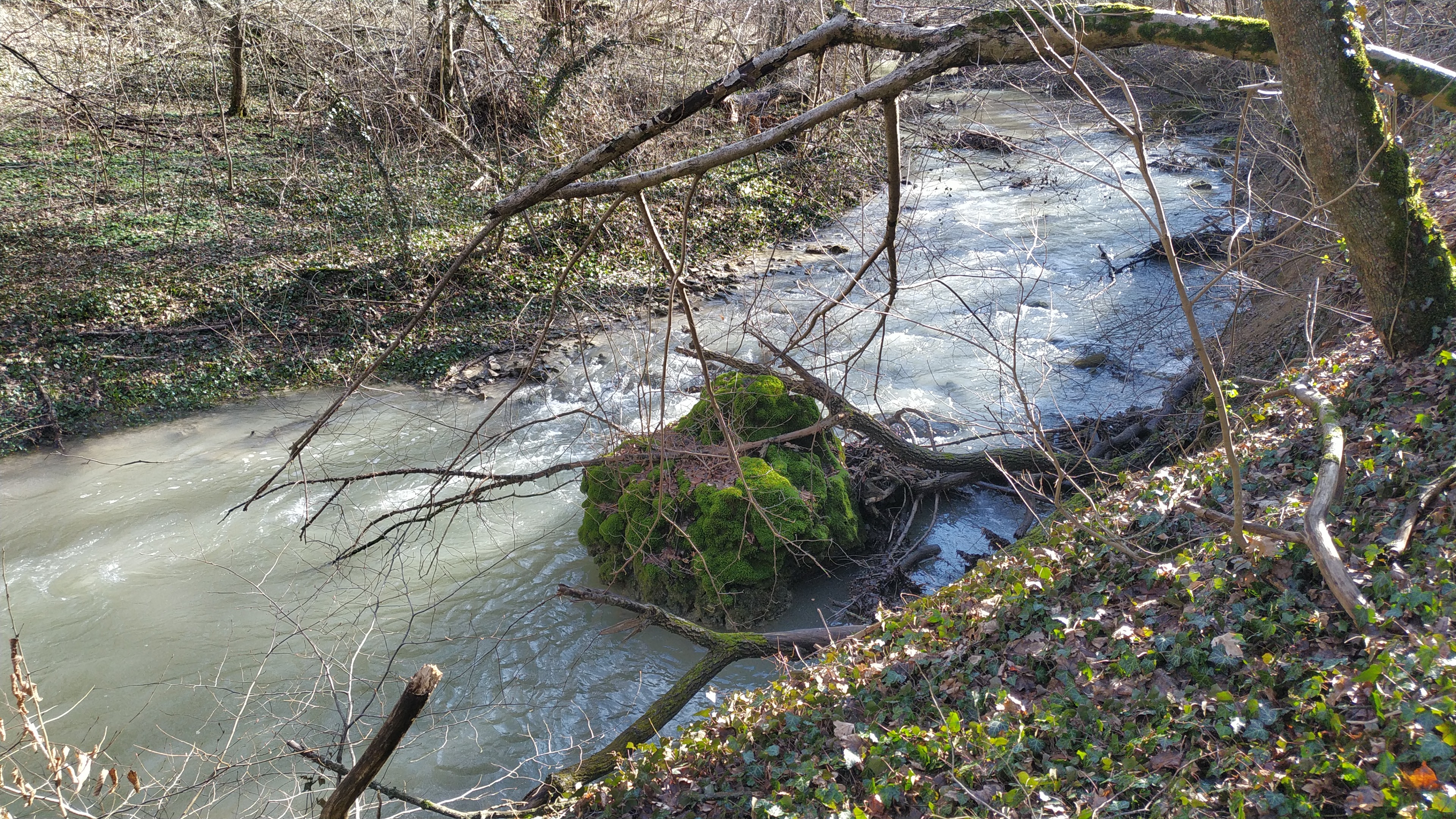 Шикарная природа хутора Школьный, Крымский район, прогулка по лесу смотреть онлайн