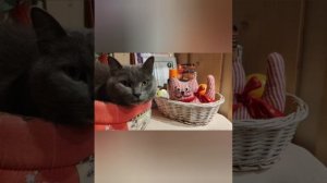 Татьяна и Яна полный метр