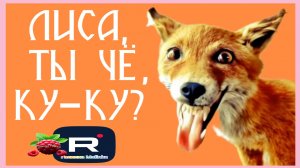 Лиса в Америке _Ты чЕ, Ку-ку_ _Обзор _Big Big Family _Funny 4 _Сельчанка в Америке _Жизнь в США