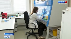 В Новосибирске создают пробиотик для животных из чешуи ракообразных