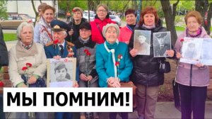 Аллея Героев Новокосино: Посадка елей в честь павших