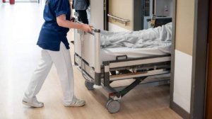 ВОЗ подтвердила смерть пациентки от вируса Нипах в Бангладеш