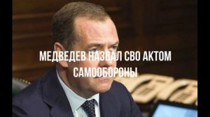 Могучий Стубб. Акт самообороны. Ослабление России.