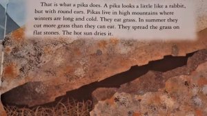 Animals in Winter - A Read With Me Book