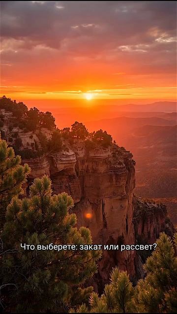 Что выбрать?