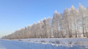 Анекдоты - блондинки, авто-леди