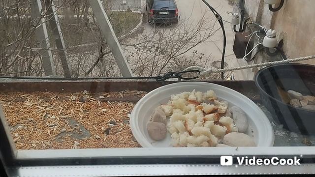 Перепись населения воробьёв