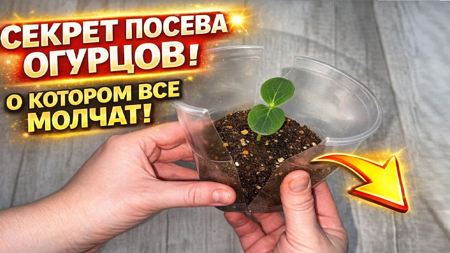 СЕКРЕТ посева ОГУРЦОВ котором все молчат! Жалею что раньше об этом не знала! смотреть онлайн