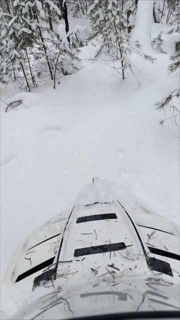 Будни Бурана #буран #снегоход #вездеход #лес #мороз #сугробы #охота #рыбалка #экстрим #туризм смотреть онлайн