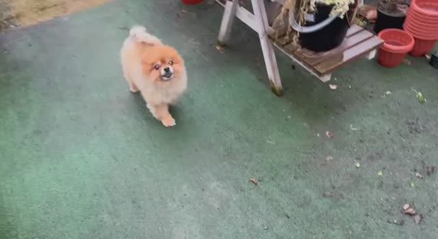 Дождик быстро выгнал всех с улицы. смотреть онлайн