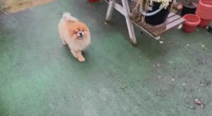 Дождик быстро выгнал всех с улицы.