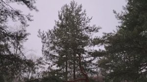 Сам себе мошенник. Самообман