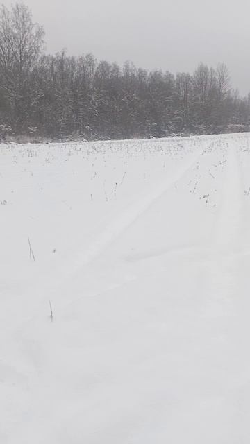 Добыл волка. Но есть ещё.