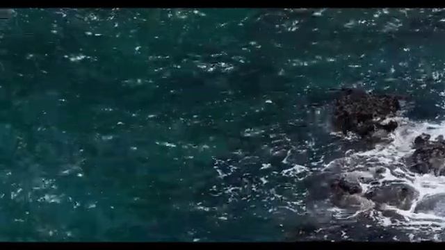 Правдивая Ольга. Анжелика Снежинская. Не твой уровень-обсуждать моих детей! смотреть онлайн