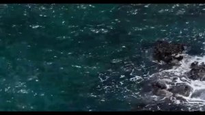 Правдивая Ольга. Анжелика Снежинская. Не твой уровень-обсуждать моих детей!