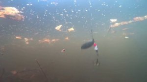 Осенний Космос.Звуки под водой.Блёсна.