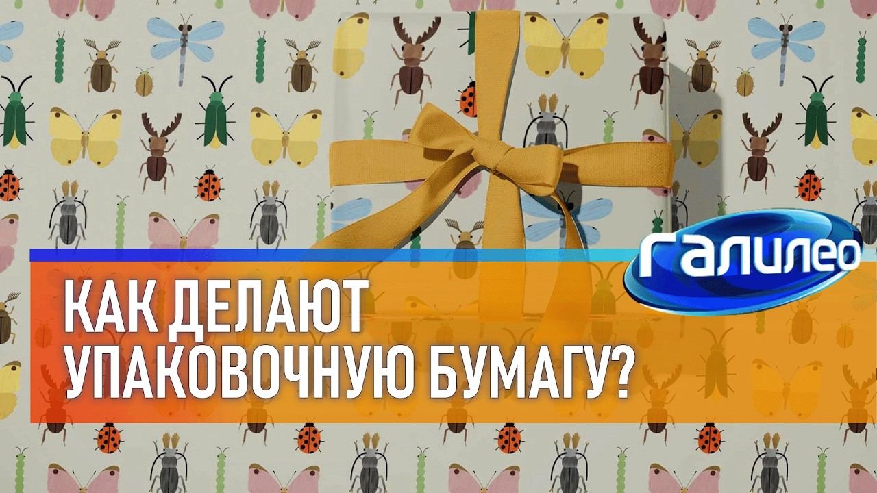Галилео  Как делают упаковочную бумагу?