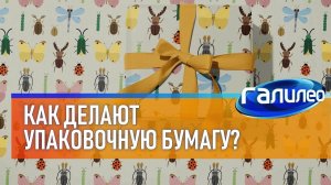 Галилео  Как делают упаковочную бумагу?