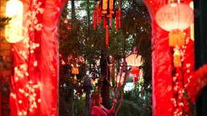 Фестиваль китайского Нового года открылся в "Аптекарском огороде"