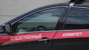 СК возбудил дело после попытки сотрудников рехаба упечь туда журналиста РЕН ТВ