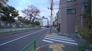 Прогулка по пригородному Токио Ниси Кояма - Спокойные улицы Японии 🚶♂️✨