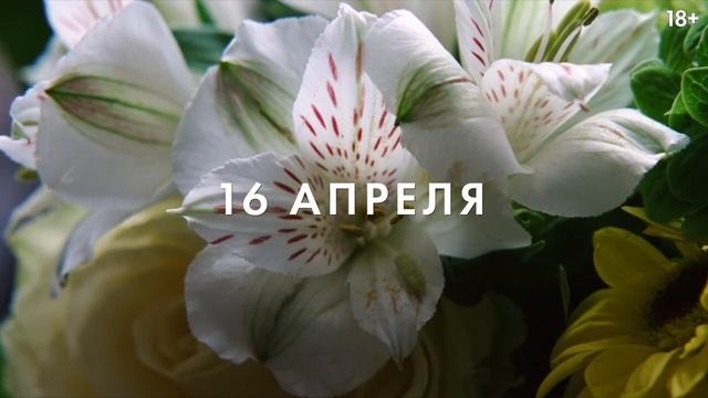 Вот это драма! — Русский трейлер (2026) смотреть онлайн