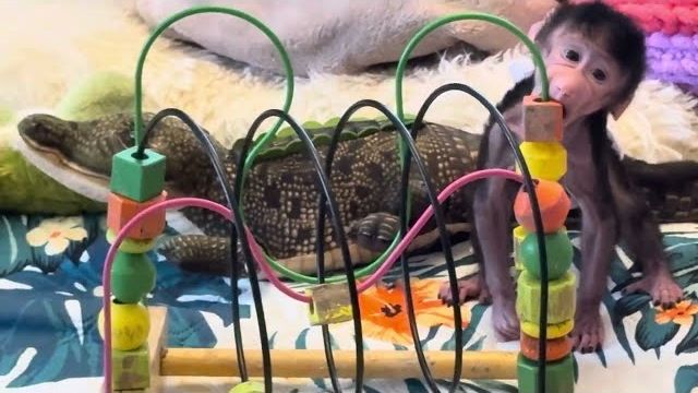 Николь с утра до вечера только и делает что радует успехами маму Таню 😁 смотреть онлайн