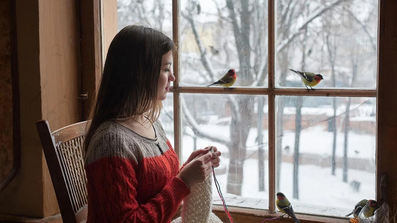 Влог 1-6.02.26 смотреть онлайн