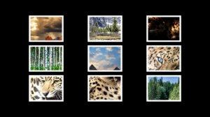 Ramio Lin - Светлячок