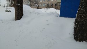 Изобилие снега! 8.02.2026г.