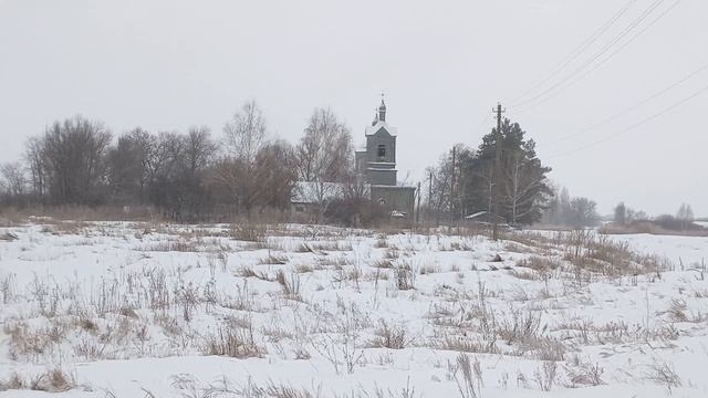 Прогулка по селу Новая Чигла Таловского района 08-02-2026 смотреть онлайн