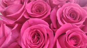 КТО ПЬЁТ🍷, КТО ЛЬЁТ🫖.А ШАПОКЛЯЧКА 🙋 ВСЁ ОБЪЯСНЯЕТСЯ 🤦🤔.