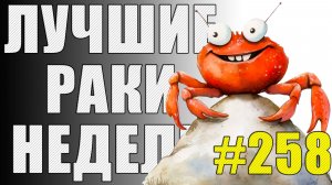 ЛРН выпуск №258 🤪 ТАНЦЫ-ЖМАНЦЫ и ГУСЕНИЧНЫЙ КОЛЕСНИК [Лучшие Раки Недели]