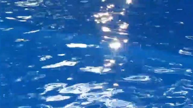 Книга Жизнь Божественная 01-09 Существование в Чистом Бытии (Шри Ауробиндо) Книга Жизнь Божественная 01-09 Существование в Чистом Бытии (Шри Ауробиндо)