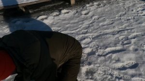 Первый пошел. Снасти работают