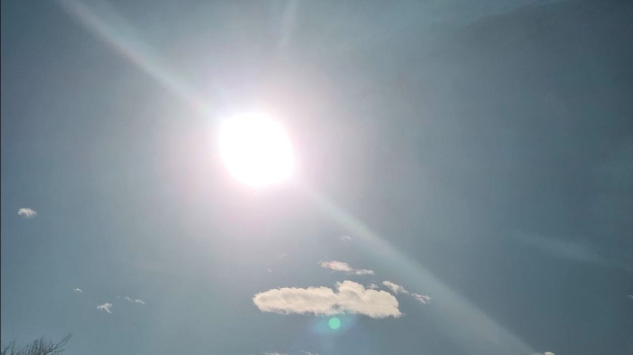 Проповедь прот. Николая Германского. Неделя о блудном сыне. 08.02.2026 г. смотреть онлайн