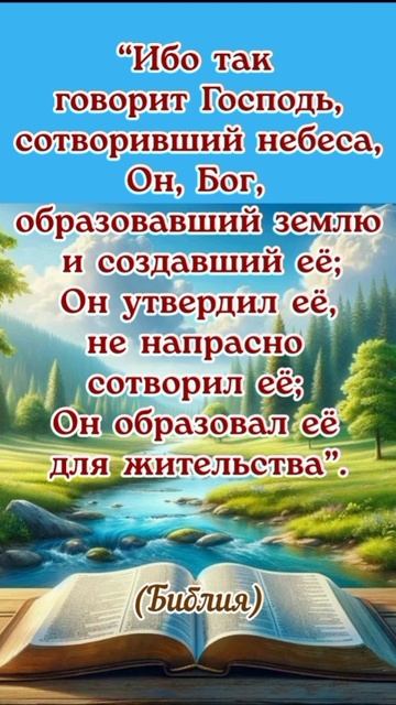 YouCut_20260208_044350878.mp4