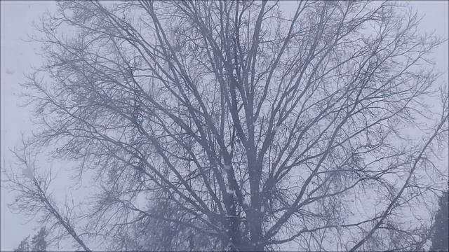 8 Февраля — Денежный день. Как открыть путь к богатству.