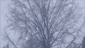 8 Февраля - Денежный день. Как открыть путь к богатству.