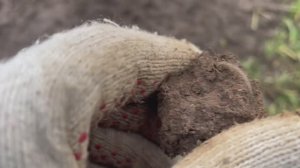 Она ждала меня в земле больше 100 лет! С новым металлоискателем по старым местам!