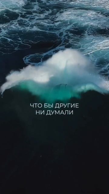 1000098949.mp4 смотреть онлайн