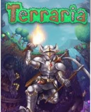 будем разговаривать в чате.