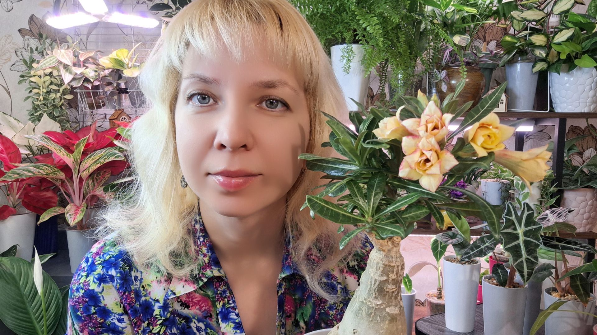 Обзор растений на продажу смотреть онлайн