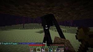 ЭКСПЕДИЦИЯ В ЭНД МАЙНКРАФТ